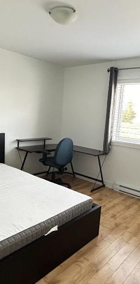 1er décembre 5 1/2 MEUBLÉ, IDÉAL POUR ÉTUDIANTS, près UQTR, Air climatisé, Lave-vaisselle, micro-onde, aspirateur, stationnements déneigés NON-FUMEUR - Photo 1