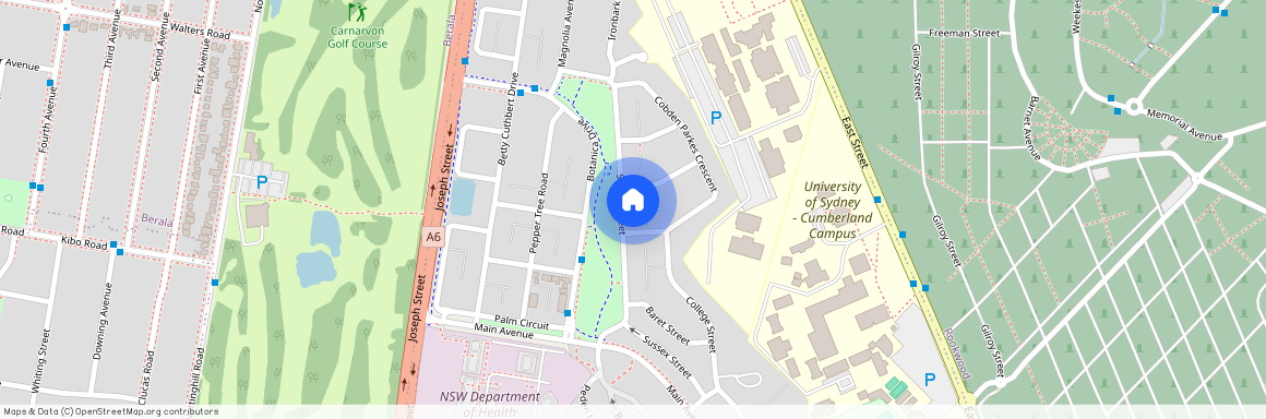 48 Sussex Street "Botanica", NSW 2141, Lidcombe