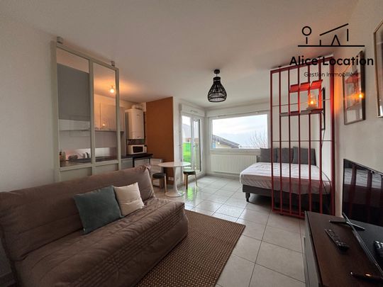 Location Appartement 1 pièce 29m² EVIAN LES BAINS 74500 - Photo 1