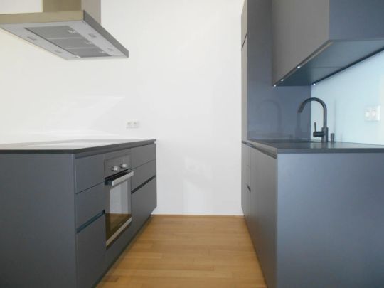 Q5 am PARK MIRROR Traumblick 19./letztes OG 2ZI sonnig, hochwertig, großzügiger Balkon - Photo 1