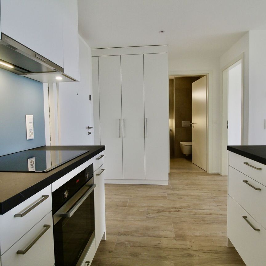 Appartement récent et lumineux de 2 pièces, avec vue et grande terrasse - Photo 1