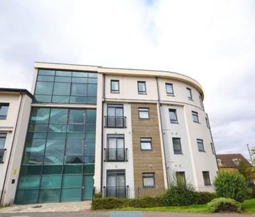 Paladine Way, Coventry - - Photo 6