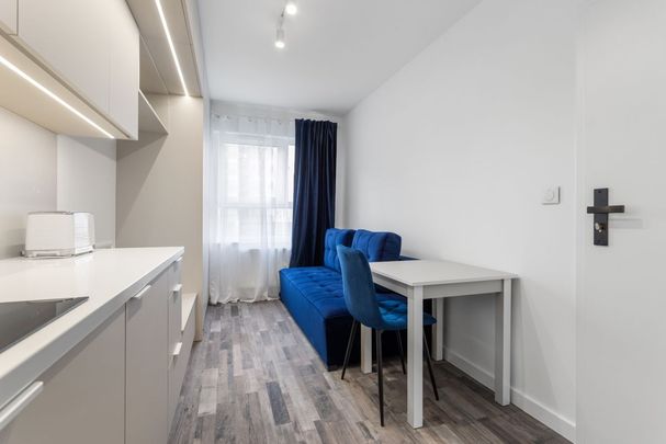 Mieszkanie do wynajęcia 1 pokoje Aleksandry Bielerzewskiej, Pozna 18 m² - Фото 1