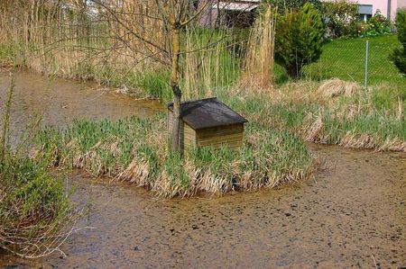 Rein ins Wohnglück! - Photo 5
