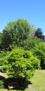 2,0-Zimmer-Wohnung in Kiel Blücherplatz - Foto 3