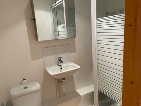 Studio Flat, Hoylake Road, W3 - Photo 5