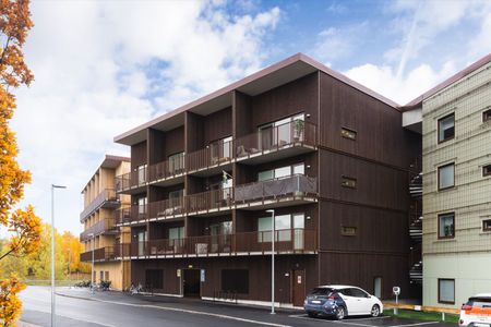 Takläggaregatan 29 - Foto 4