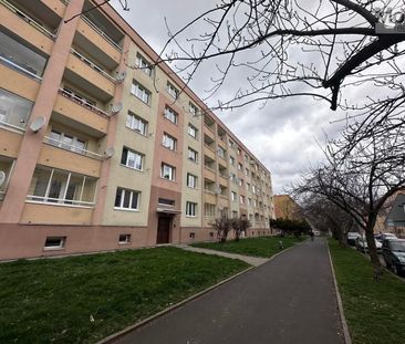 Pronájem bytu 2+1 - Photo 6