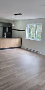 Appartement à louer 4 1/2 Sainte-Catherine-de-la-Jacques-Cartier - Photo 3