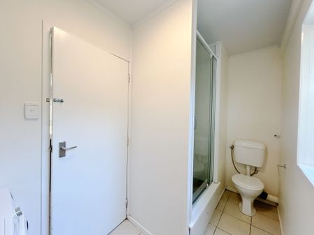 Spacious one bedroom unit plus carpark - Photo 4