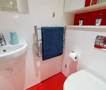 Gold Studio Deluxe - Photo 2