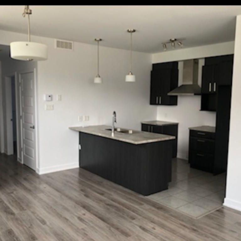 Appartement 1 chambre + sdb / 1 bedroom and bathroom appartment - Photo 1