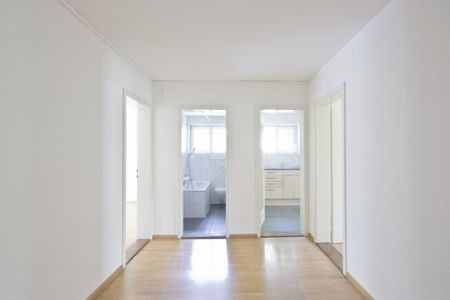 Cozy apartment in Muttenz - Photo 3