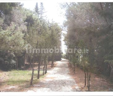Bilocale Ss267, Pollica - Foto 3