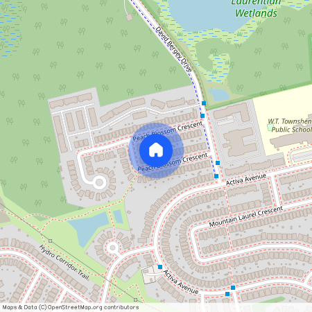 131 Peach Blossom Crescent Unit# Lower, Kitchener