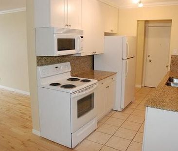 Seymour Place - Photo 6