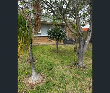 3 Ramgo Street, Ingle Farm, SA 5098 - Photo 3