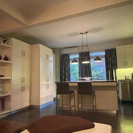3 1/2 - Montréal (Hochelaga / Maisonneuve) - 1 800 $/mois - Photo 3