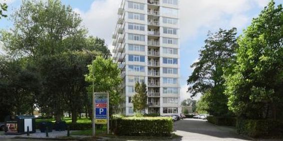 Tarwekamp 2592 XG 's-Gravenhage - Photo 3