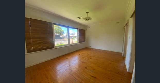 Large Open Spaces and Minutes to the Beach Life! - Photo 1