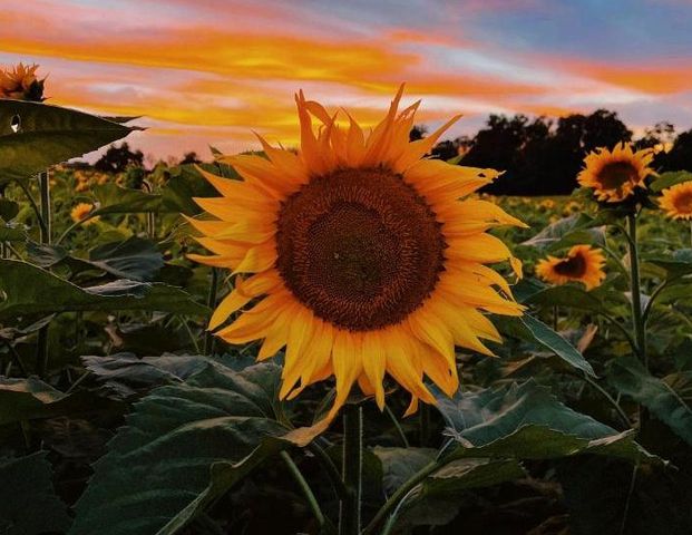 Hofgemeinschaftsgründung-nahe Ottersberg - Photo 1