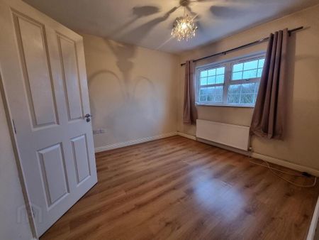 19 Millrace Drive, Moneymore, BT45 7TJ - Photo 4