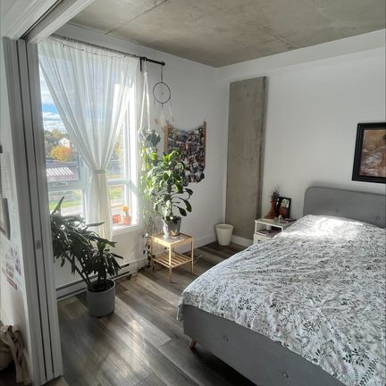 Grand 1 Chambre A Louer - Photo 1