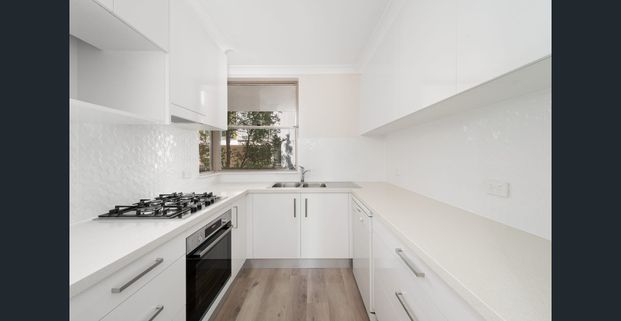 RECENTLY REFURBISHED...NORTH FACING OVER-SIZED 2 BEDROOM APARTMENT - Photo 1