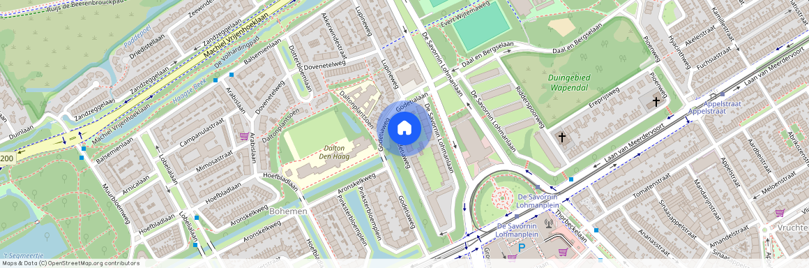 Godetiaweg 137, Bohemen en Meer en Bos, 2555RT, Den Haag