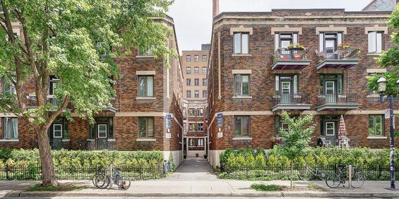 1 chambre - 3655 Ste-Famille, Montréal - Photo 3