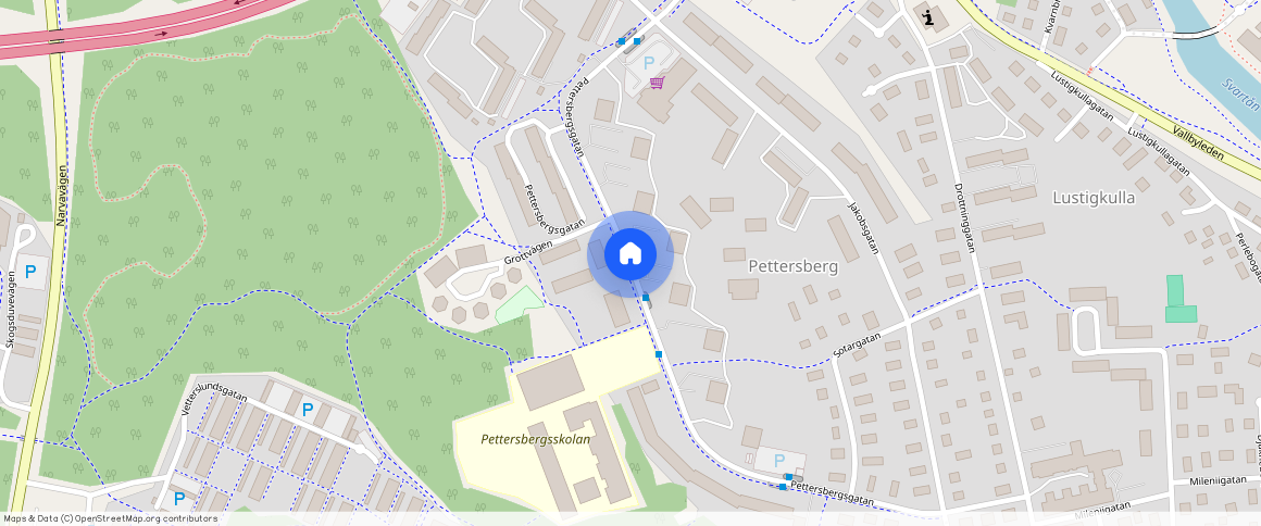 Pettersbergsgatan, Västerås