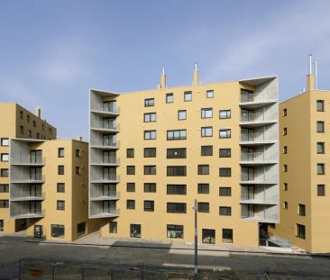 1-Zimmer-Wohnung, Top 322 - Photo 1