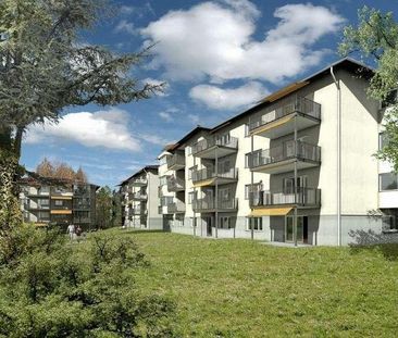 Schöne Wohnung an top Lage in Hottingen! - Photo 4