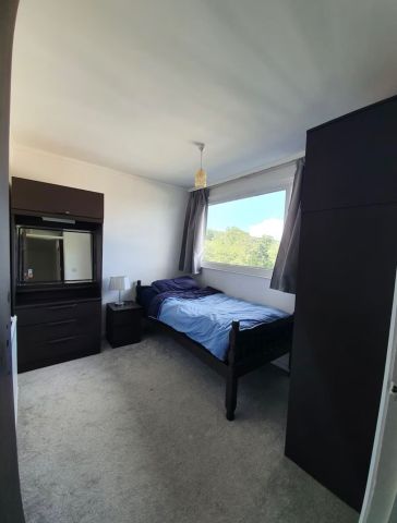 Room in a Shared House, Guildford Avenue, S2 - Photo 2