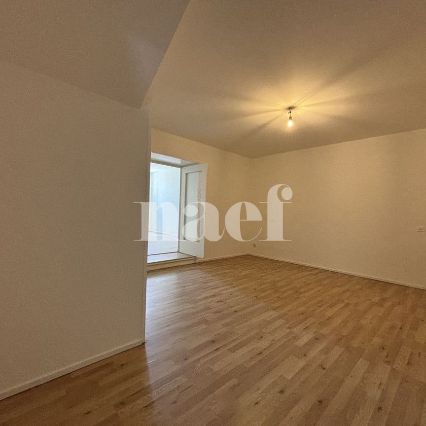 4.5 Zimmer, 116 m², EG - Foto 1