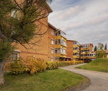 Timmervägen 31 - Foto 3