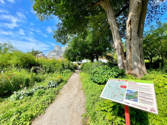 For Lease - 173 Carlton Street Unit# Lower 1, Toronto, Ontario - Photo 1