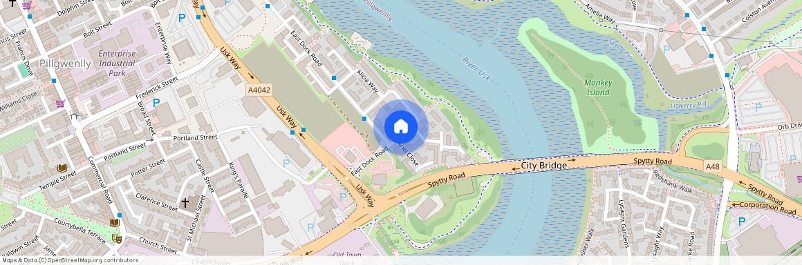 Alicia Crescent, Newport, NP20