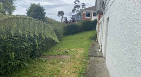 Spacious 3-Bedroom Apartment for Rent in Maryhill, Dunedin – - Photo 2