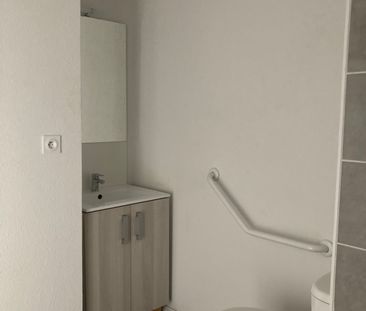 Location Appartement 1 pièce 19m² AUZEVILLE TOLOSANE 31320 - Photo 4