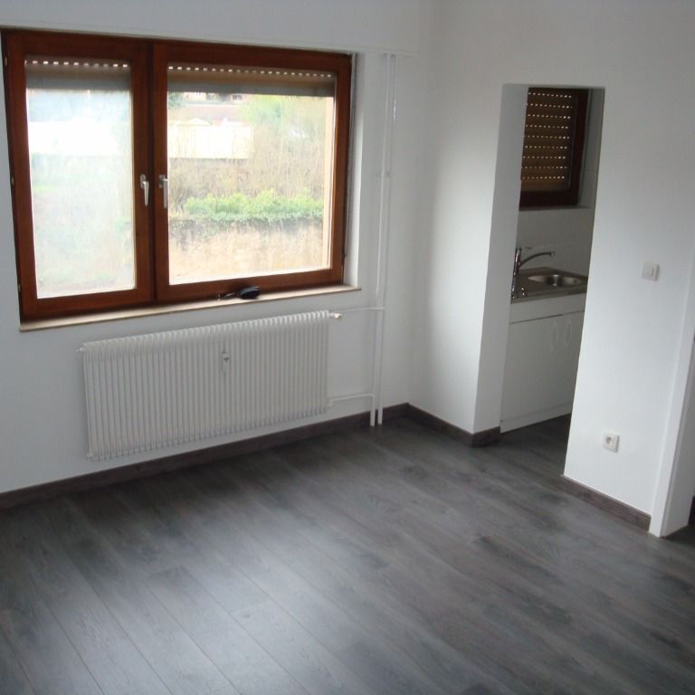 APPARTEMENT - 23 m2 - 1 pièces rue des chÃ¨vres à SARREGUEMINES 57200 - Photo 1