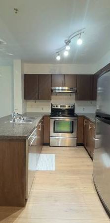 Newly Renovated Condo in the RIO - Photo 1