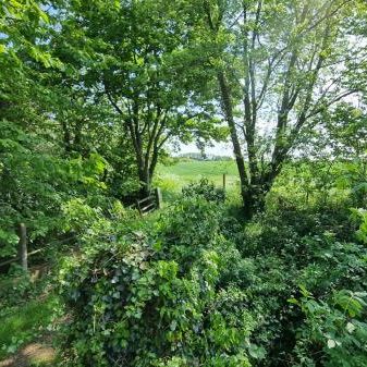 Hallaton Road, Blaston, LE16 - Photo 1