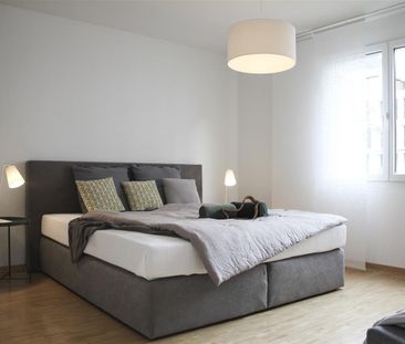 2.5 Zimmer, 56 m², 1. Stock - Photo 5