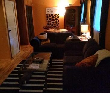 Apt 3 1/2 ,meubler,tout comprit,chien accepter - Photo 2