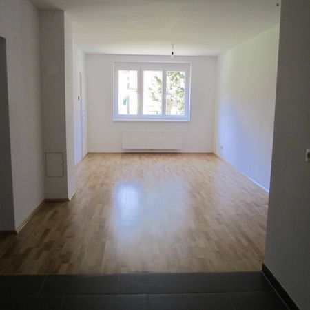 Wohnungen mit Wintergarten und Kaufoption - Photo 3