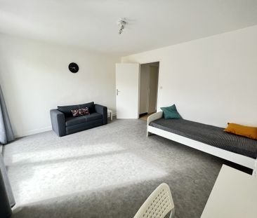 Location Appartement 1 pièce 31m² GRENOBLE 38100 - Photo 2