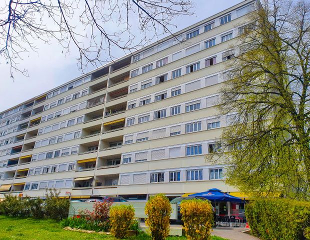 2.5 Zimmer, 32 m², 2. Stock - Foto 1