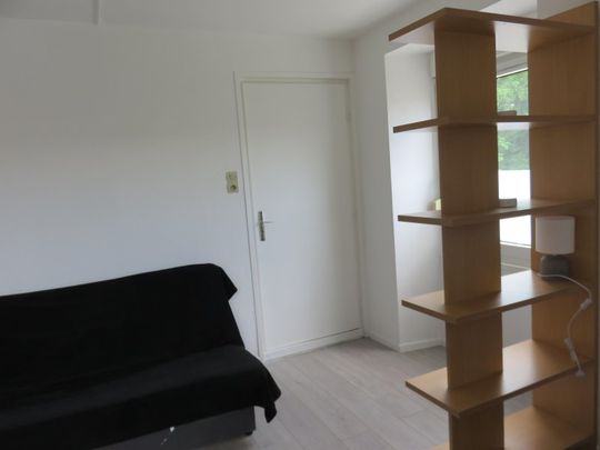Location / Appartement T1 bis - Photo 1