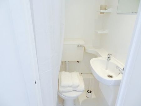 A modern single studio apartment on a charming period property in Hammersmith, London W6 - Photo 5